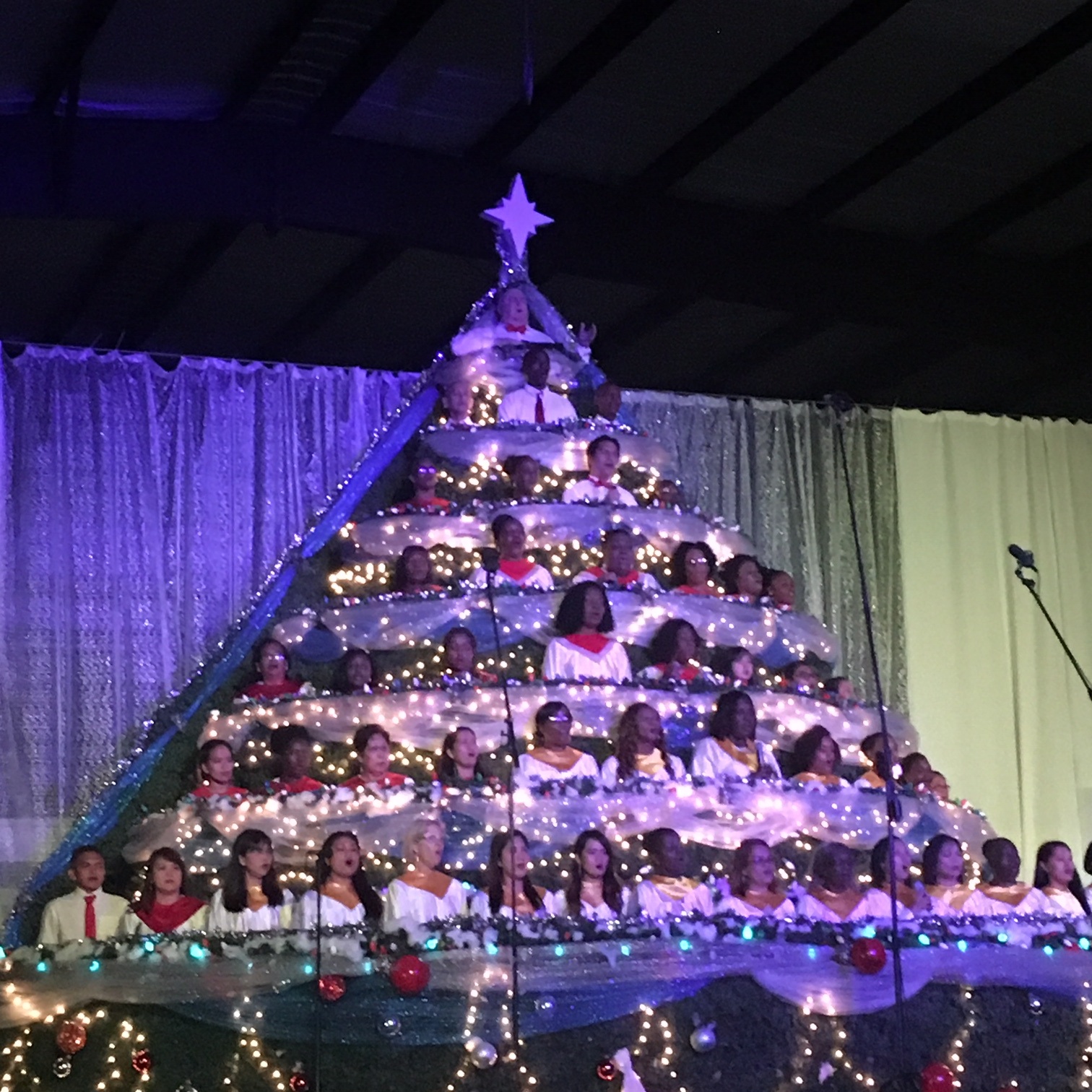 Belhaven Singing Christmas Tree 2022 The Editor speaks The Singing Christmas Tree IEyeNews