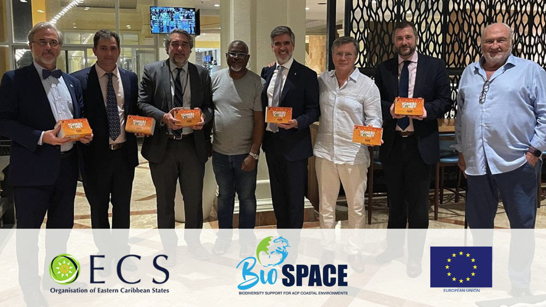 OECS and ACBO Launch “IGNERI” Honey Box Set Celebrating Caribbean Apiculture