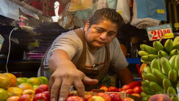 Employment holds steady in Latin America and the Caribbean, but informality and inequality persist