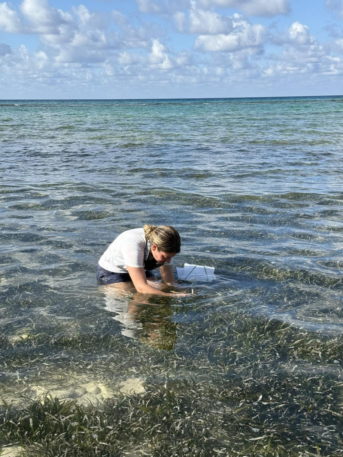 Reef-lections on an exciting 2025 with CCMI