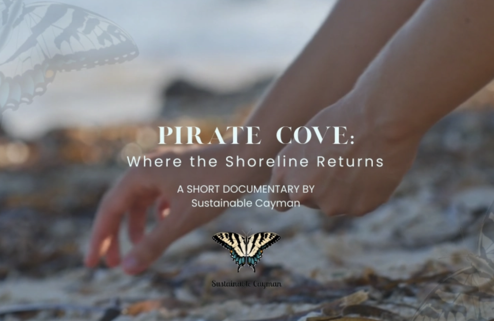 Sustainable Cayman Launches “We Are Sustainable Cayman” Campaign – Bringing Local Stories of Stewardship and Shoreline Resilience to Life